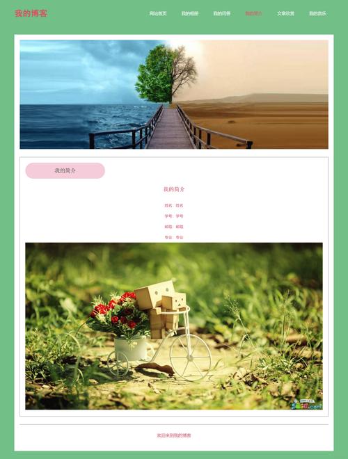 網頁設計模板HTML代碼工具：快速構建個人博客與企業展示網站