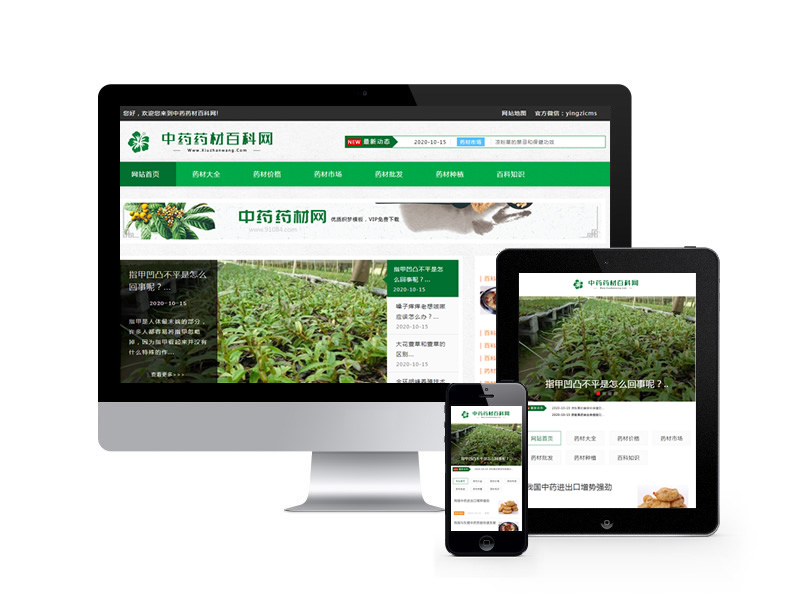 中藥藥材百科資訊類網站織夢模板(自適應手機端)